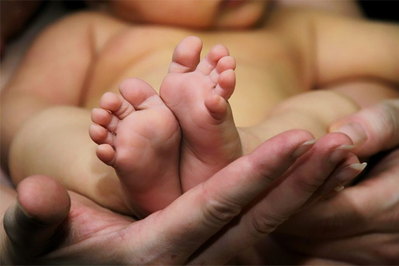Hand Of A Parent Holding A Baby By The Foot