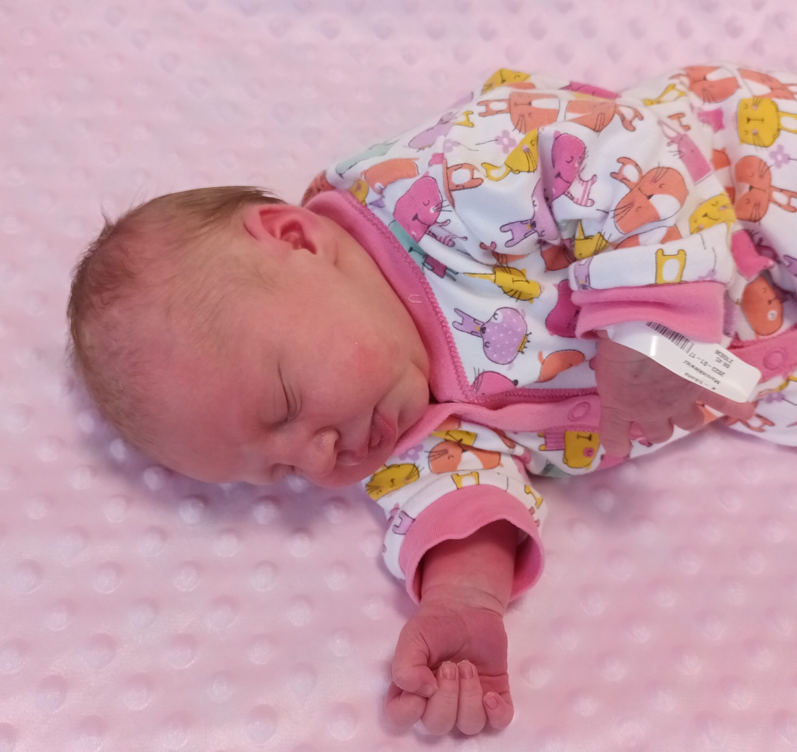 Aurelia Olga Matlok 13.01 Opole